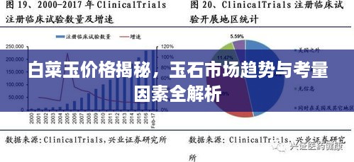 白菜玉價(jià)格揭秘，玉石市場趨勢與考量因素全解析