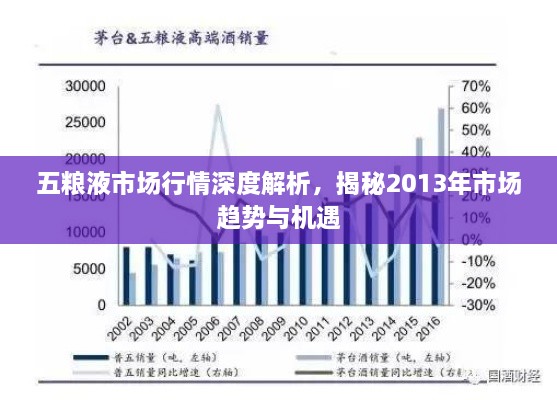 五糧液市場(chǎng)行情深度解析，揭秘2013年市場(chǎng)趨勢(shì)與機(jī)遇