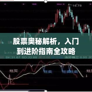 股票奧秘解析，入門到進(jìn)階指南全攻略