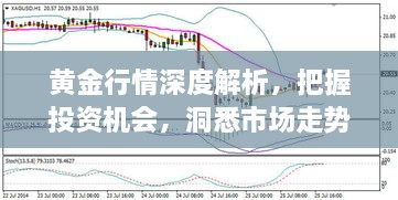 黃金行情深度解析，把握投資機會，洞悉市場走勢