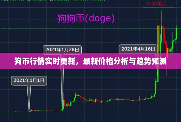 狗幣行情實時更新，最新價格分析與趨勢預(yù)測