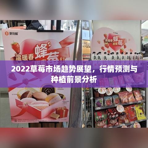 2022草莓市場(chǎng)趨勢(shì)展望，行情預(yù)測(cè)與種植前景分析