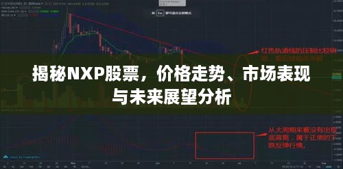 揭秘NXP股票，價格走勢、市場表現(xiàn)與未來展望分析