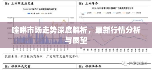 喹啉市場走勢深度解析，最新行情分析與展望