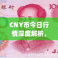 CNY幣今日行情深度解析，最新價(jià)格動(dòng)態(tài)一網(wǎng)打盡！