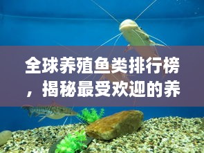 全球養(yǎng)殖魚類排行榜，揭秘最受歡迎的養(yǎng)殖魚類種類！