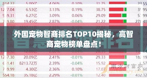 外國寵物智商排名TOP10揭秘，高智商寵物榜單盤點(diǎn)！