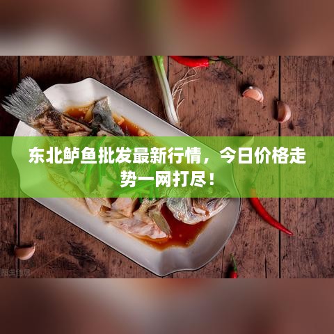 東北鱸魚批發(fā)最新行情，今日價格走勢一網(wǎng)打盡！