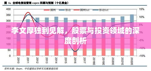 李文厚獨(dú)到見(jiàn)解，股票與投資領(lǐng)域的深度剖析