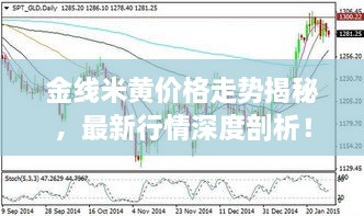 金線米黃價格走勢揭秘，最新行情深度剖析！