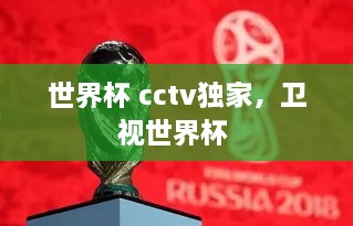 世界杯 cctv獨(dú)家，衛(wèi)視世界杯 