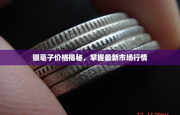 銀毫子價(jià)格揭秘，掌握最新市場(chǎng)行情