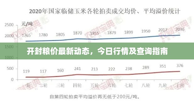 開封糧價(jià)最新動態(tài)，今日行情及查詢指南