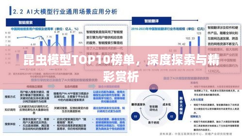 昆蟲模型TOP10榜單，深度探索與精彩賞析