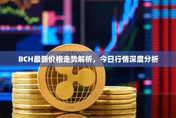 BCH最新價(jià)格走勢解析，今日行情深度分析