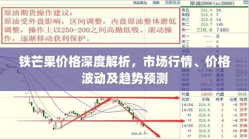 鐵芒果價格深度解析，市場行情、價格波動及趨勢預(yù)測