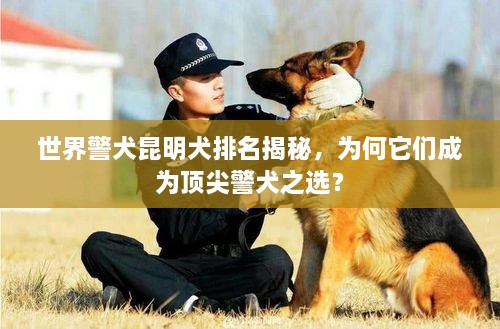 世界警犬昆明犬排名揭秘，為何它們成為頂尖警犬之選？