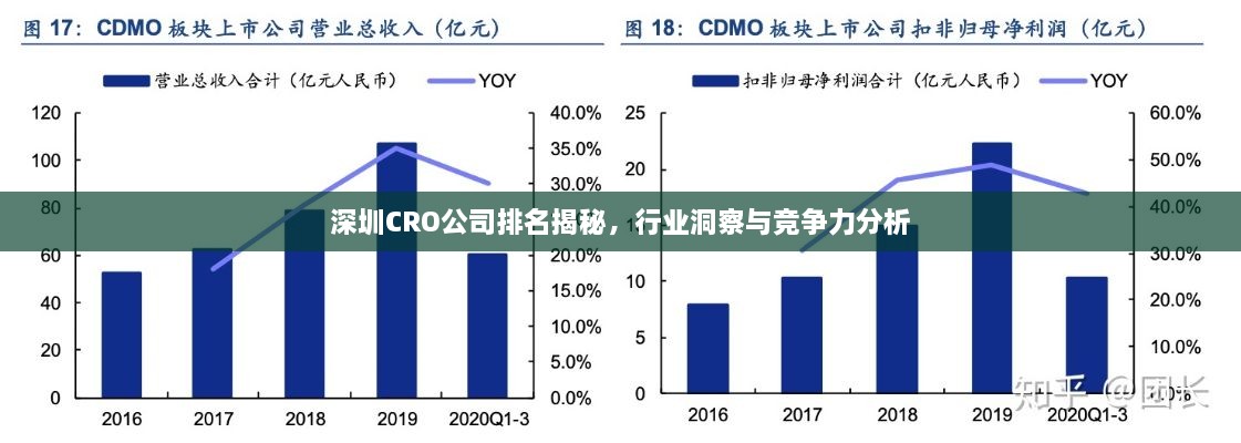 深圳CRO公司排名揭秘，行業(yè)洞察與競爭力分析