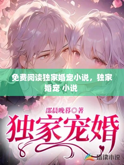 免費閱讀獨家婚寵小說，獨家婚寵 小說 