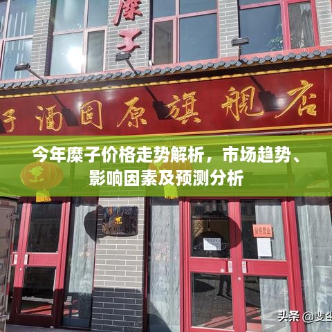 今年糜子價格走勢解析，市場趨勢、影響因素及預(yù)測分析