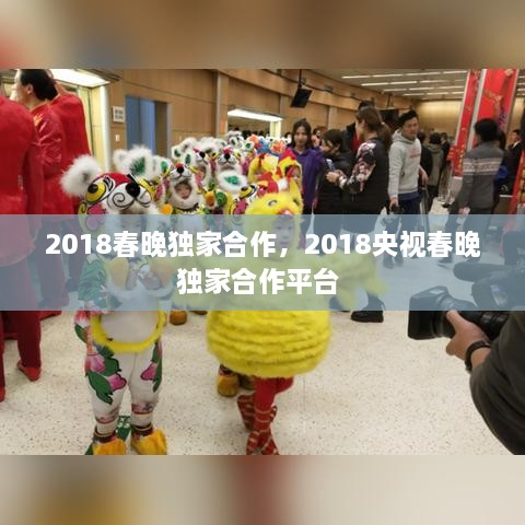 2018春晚獨家合作，2018央視春晚獨家合作平臺 