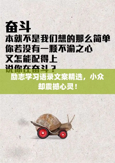 勵志學習語錄文案精選，小眾卻震撼心靈！