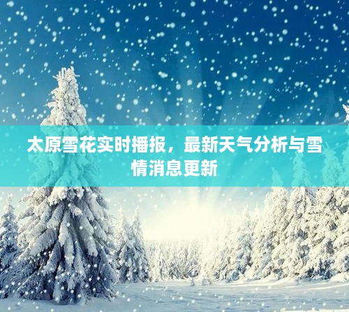 太原雪花實(shí)時(shí)播報(bào)，最新天氣分析與雪情消息更新