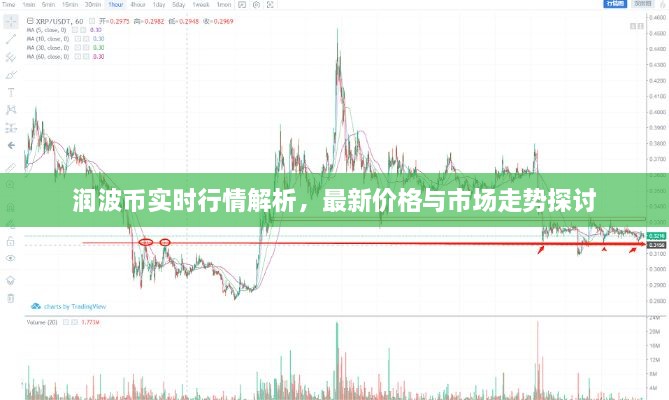 潤波幣實時行情解析，最新價格與市場走勢探討