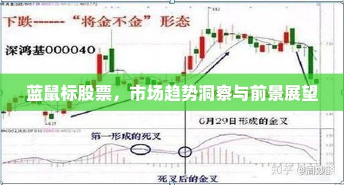 藍鼠標股票，市場趨勢洞察與前景展望