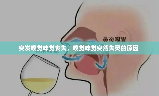 突發(fā)嗅覺味覺喪失，嗅覺味覺突然失靈的原因 