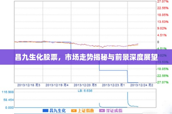 昌九生化股票，市場走勢揭秘與前景深度展望