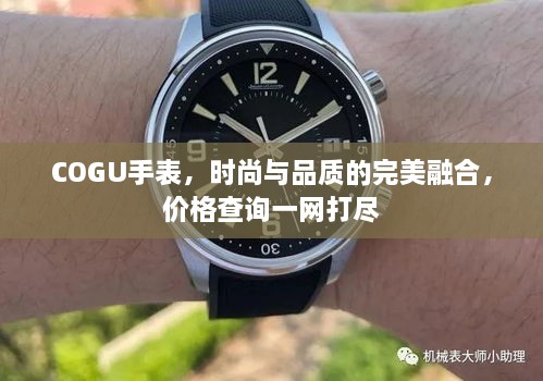 COGU手表，時(shí)尚與品質(zhì)的完美融合，價(jià)格查詢一網(wǎng)打盡