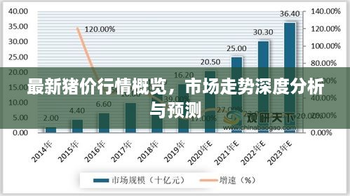 最新豬價行情概覽，市場走勢深度分析與預測