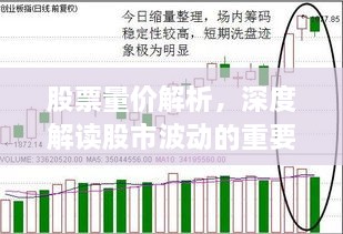 股票量價(jià)解析，深度解讀股市波動的重要指標(biāo)！