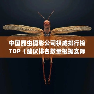 中國(guó)昆蟲攝影公司權(quán)威排行榜TOP（建議排名數(shù)量根據(jù)實(shí)際情況調(diào)整）