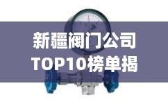 新疆閥門公司TOP10榜單揭曉，行業(yè)領(lǐng)軍者一覽無余