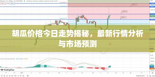 胡瓜價(jià)格今日走勢揭秘，最新行情分析與市場預(yù)測