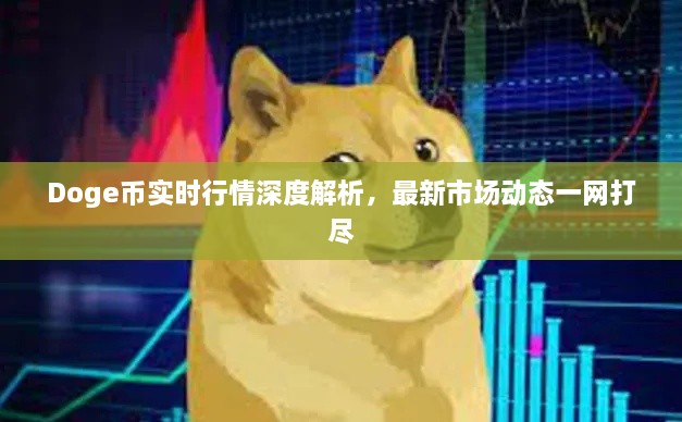 Doge幣實時行情深度解析，最新市場動態(tài)一網(wǎng)打盡