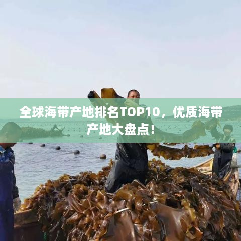 全球海帶產(chǎn)地排名TOP10，優(yōu)質(zhì)海帶產(chǎn)地大盤點(diǎn)！