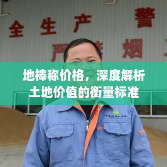 地棒稱價格，深度解析土地價值的衡量標準