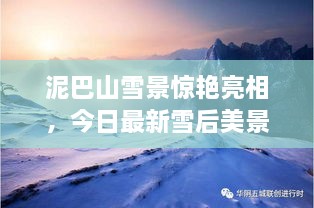 泥巴山雪景驚艷亮相，今日最新雪后美景報道！