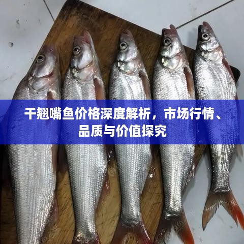 干翹嘴魚價(jià)格深度解析，市場(chǎng)行情、品質(zhì)與價(jià)值探究