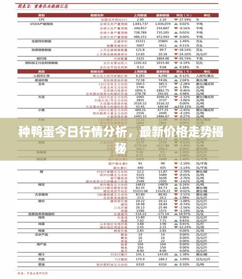 種鴨蛋今日行情分析，最新價格走勢揭秘