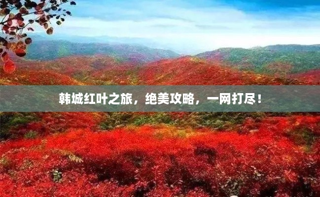 韓城紅葉之旅，絕美攻略，一網(wǎng)打盡！