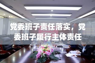 黨委班子責(zé)任落實，黨委班子履行主體責(zé)任的建議 