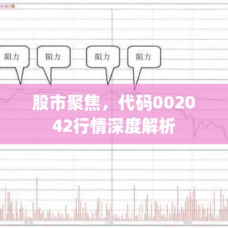 股市聚焦，代碼002042行情深度解析