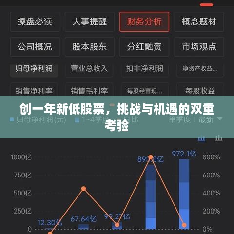 創(chuàng)一年新低股票，挑戰(zhàn)與機遇的雙重考驗