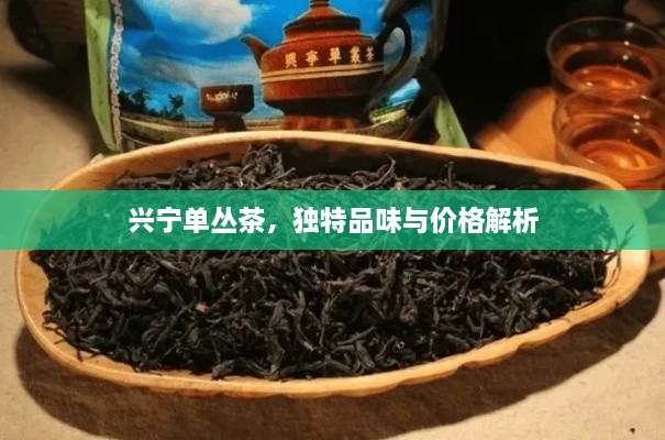 興寧單叢茶，獨(dú)特品味與價格解析