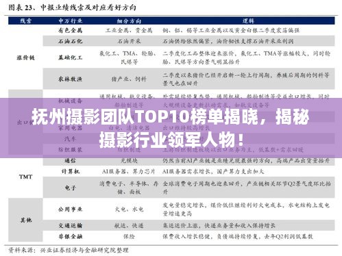 撫州攝影團(tuán)隊TOP10榜單揭曉，揭秘攝影行業(yè)領(lǐng)軍人物！