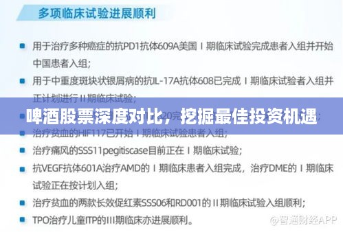 啤酒股票深度對(duì)比，挖掘最佳投資機(jī)遇